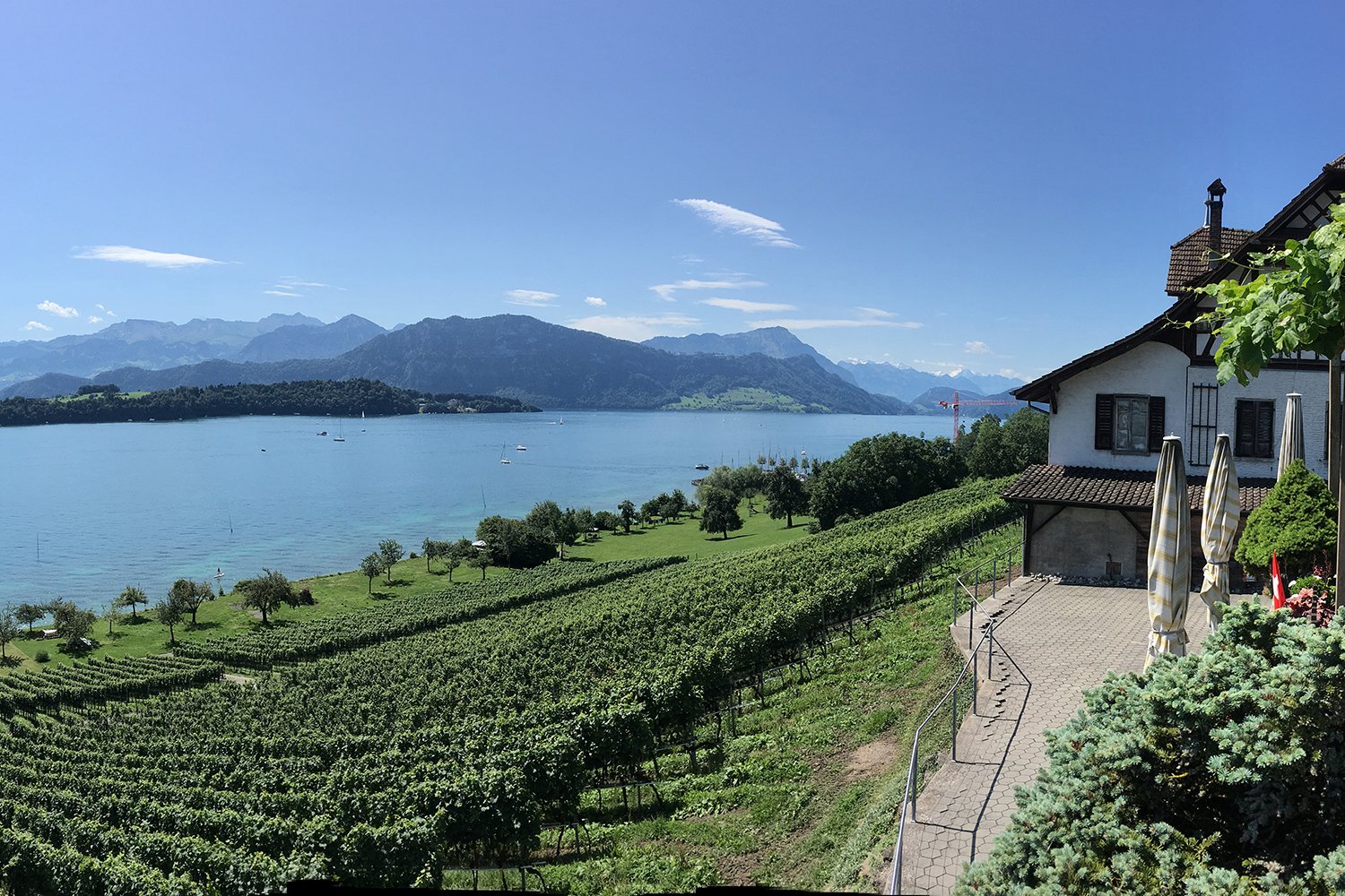 Phantastische Aussicht vom Weingut Letten auf den Vierwaldstättersee und in die Berge.